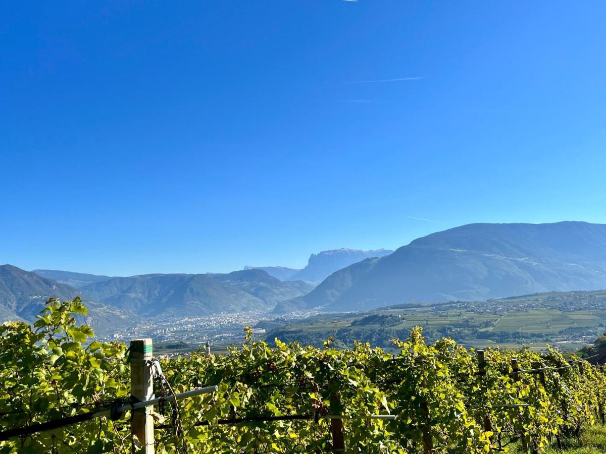 Strahlerhof Διαμέρισμα Appiano Sulla Strada Del Vino Εξωτερικό φωτογραφία