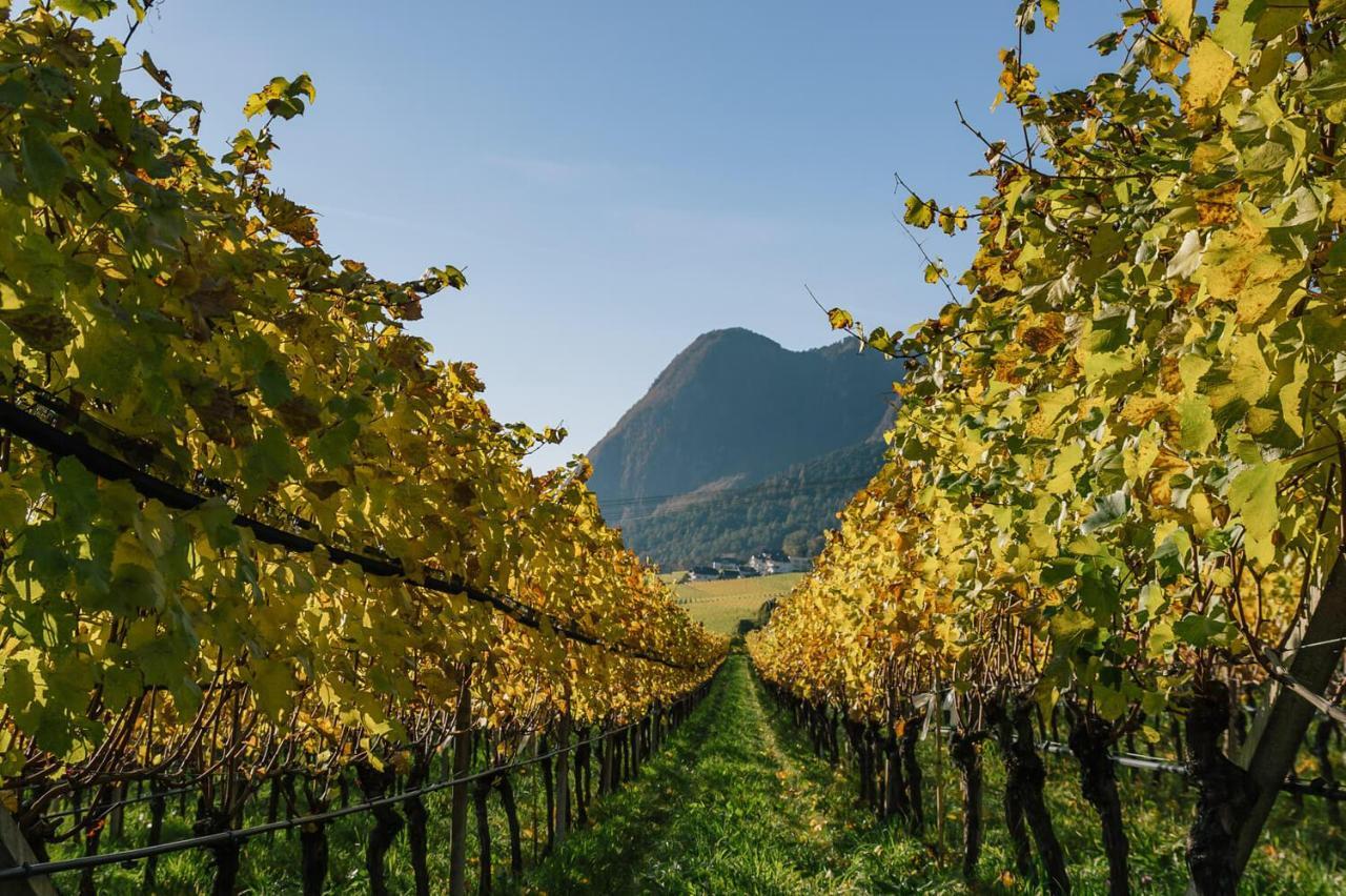 Strahlerhof Διαμέρισμα Appiano Sulla Strada Del Vino Εξωτερικό φωτογραφία