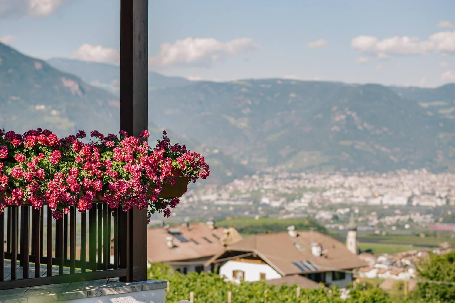 Strahlerhof Διαμέρισμα Appiano Sulla Strada Del Vino Εξωτερικό φωτογραφία